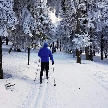 Zielona Przystan Lejlighed *