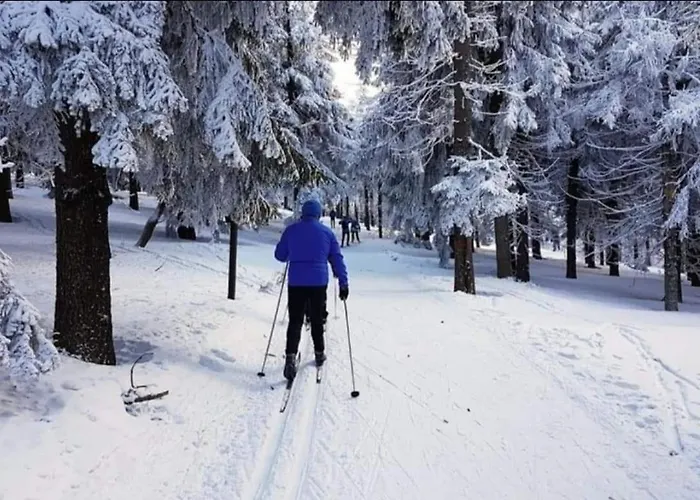 Zielona Przystan Lejlighed *